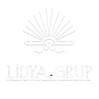 Lidya-e-group-logo